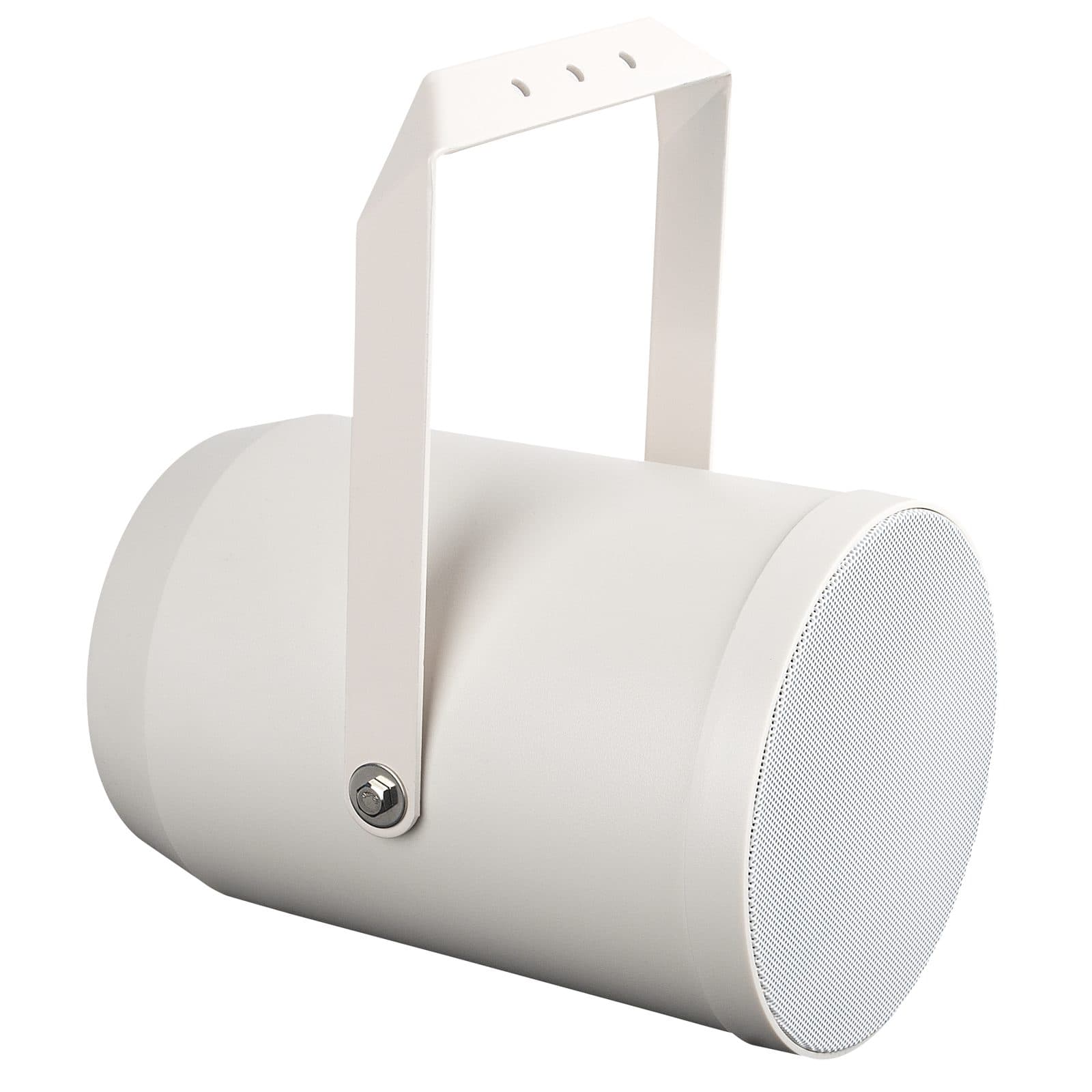 Unidirectional speaker 6 " - DAP D 6551