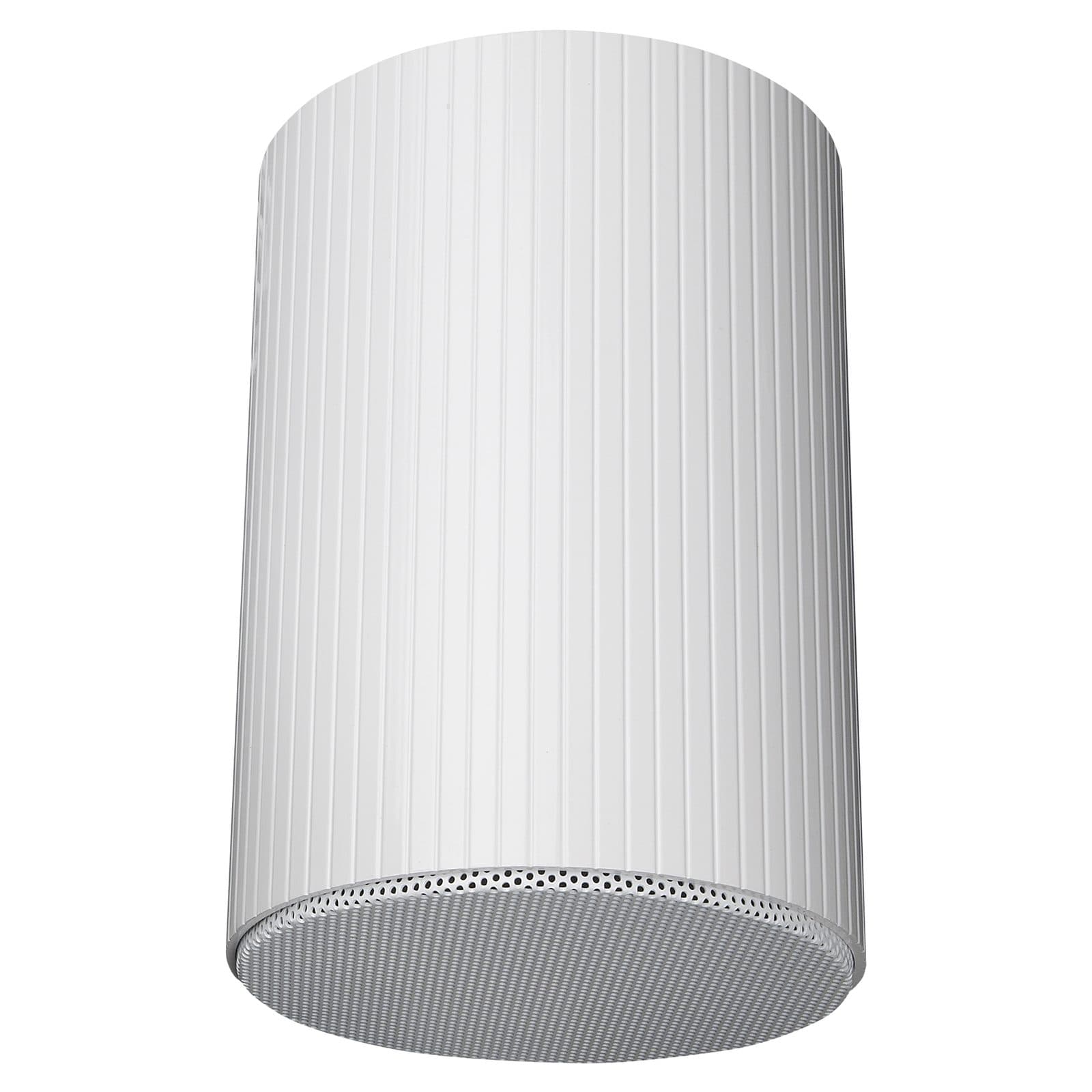 6 ceiling speaker " - DAP D 6567