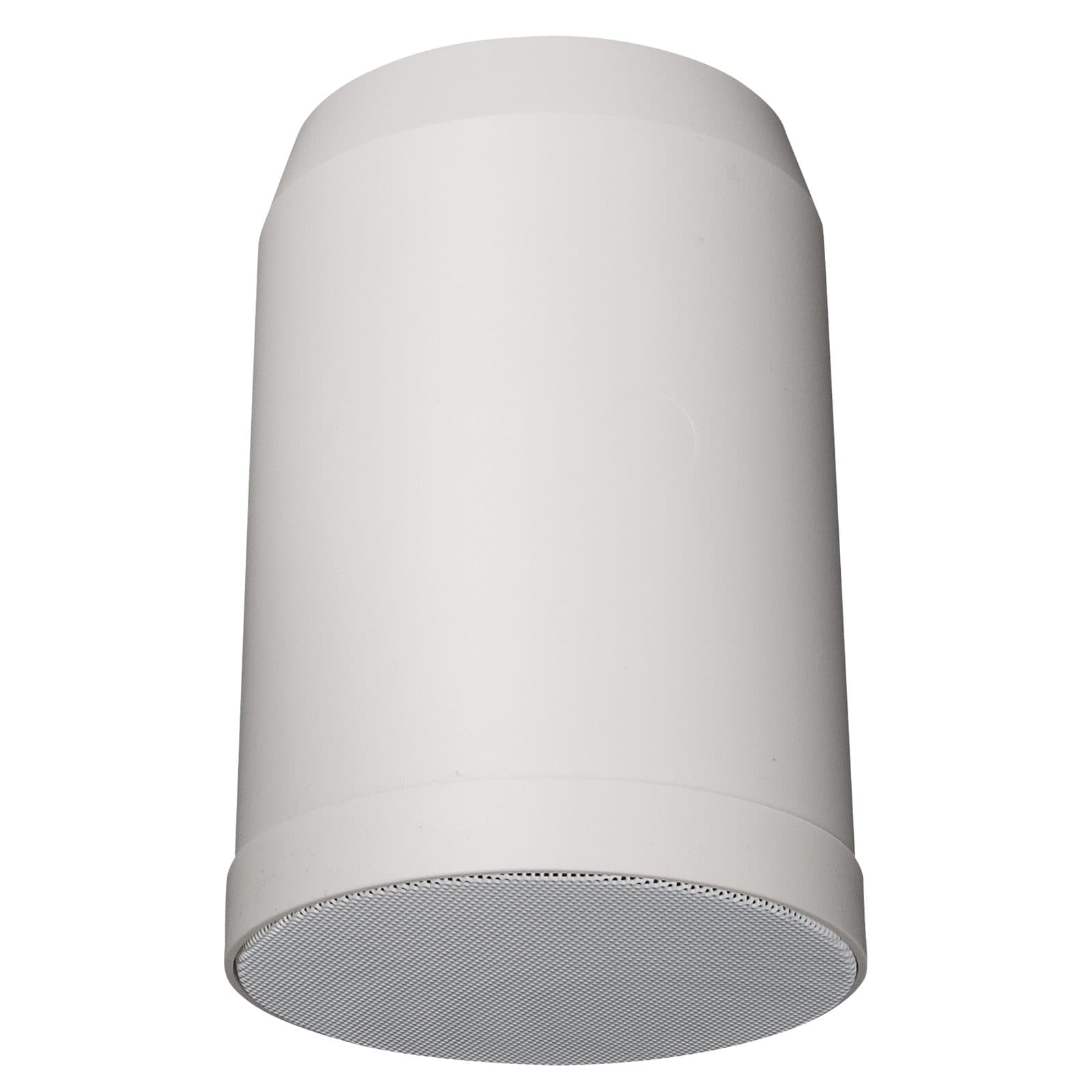 Ceiling speaker DAP D 6568