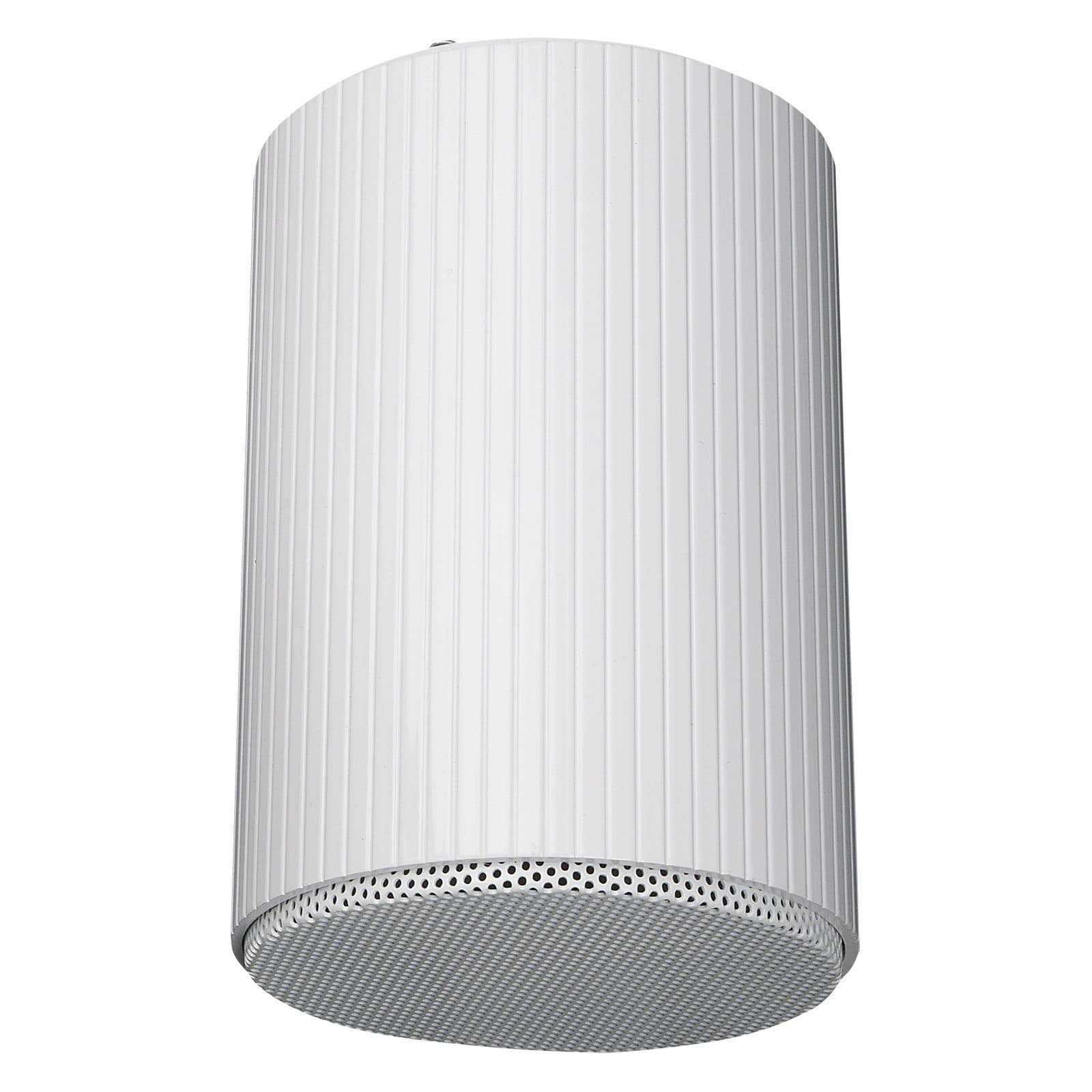 Ceiling speaker DAP D 6569