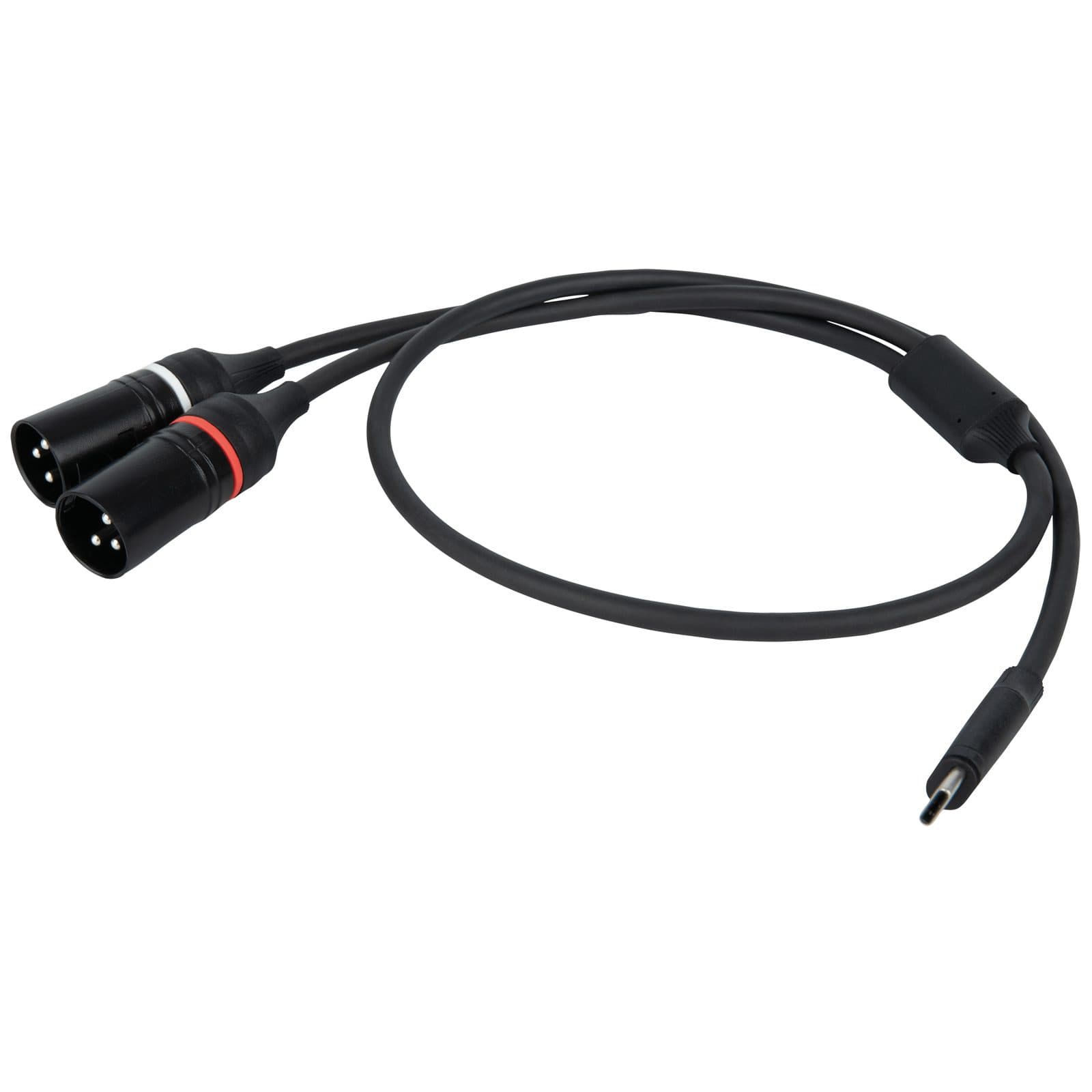 USB-C cable to 2 XLR/M 3 P - DAP FL 112150